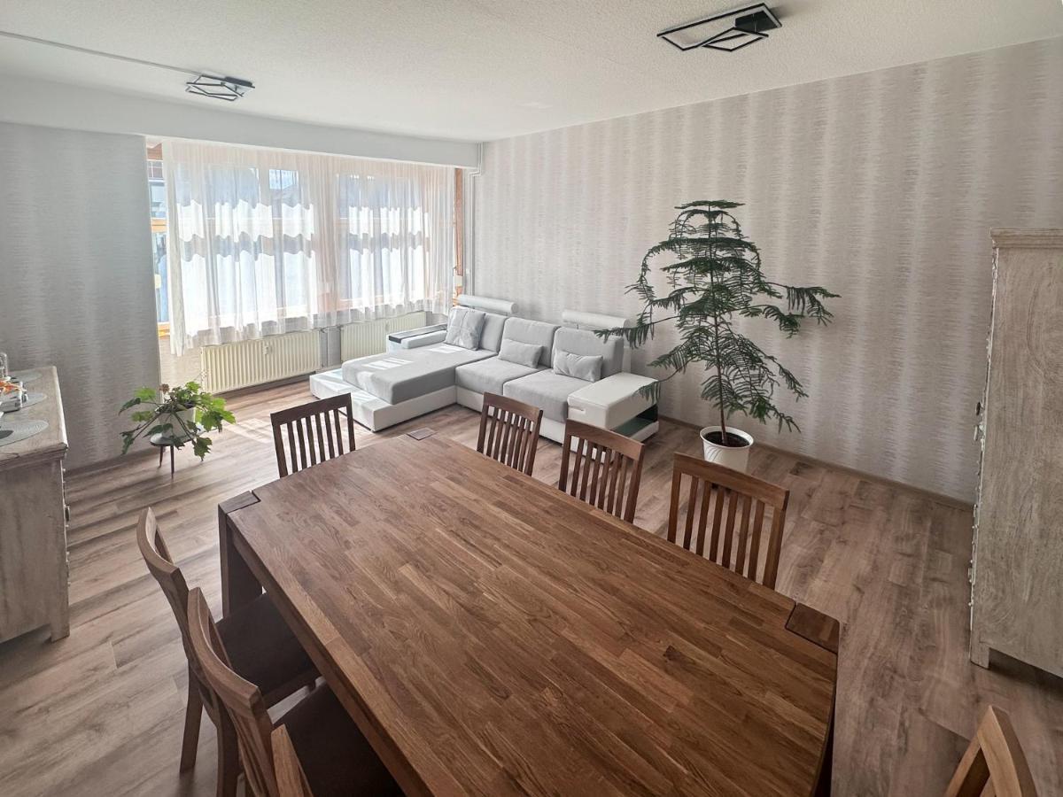 Schoene Altbauwohnung Mit Grosser Sonnenterrasse Rudolstadt Kültér fotó